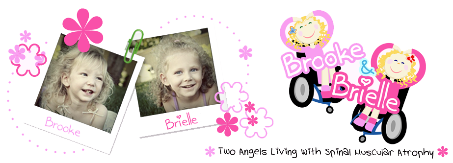 Welcome to Brooke and Brielle's Blog!
